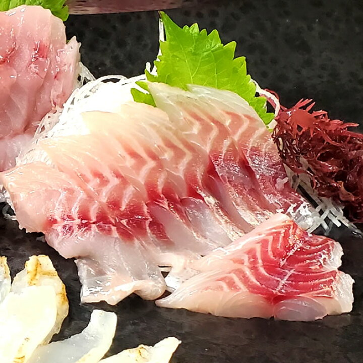 楽天市場 刺身用イサキの柵 冷凍 片身分 1 150ｇ 浜坂産 旬のイサキを刺身用に捌きました さしみ いさき イサギ スキンレスフィレ 毎日漁港へ目利き一筋 かにの山米