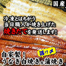 6/13～15出荷限定【送料無料】自家製！【活け】うなぎ蒲焼き&白焼きセット　特大　各1尾ずつ（タレ・わさび付き）[未冷凍]【国産】鰻、ウナギ、かばやき