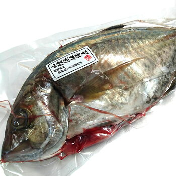 楽天市場 鮮魚 か行 か カイワリ 毎日漁港へ目利き一筋 かにの山米 楽天市場 鮮魚 か行 か カイワリ 毎日漁港へ目利き一筋 かにの山米