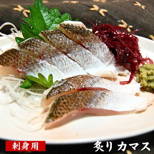 hgp@tJ}X iⓀjАg80-99giRAYjhȐԃJ}XhgpɎJAt܂B܂B𓀂Đ؂邾łByNx3DziAJJ}XAԂ܂A܂A