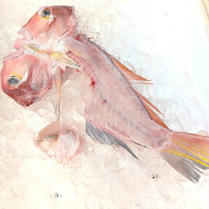 ܂ A Ⓚ@C RA ɌlYi  g  A}_C Ñ ԊÑ  OW J} z z Ƃ Ă ϕtj