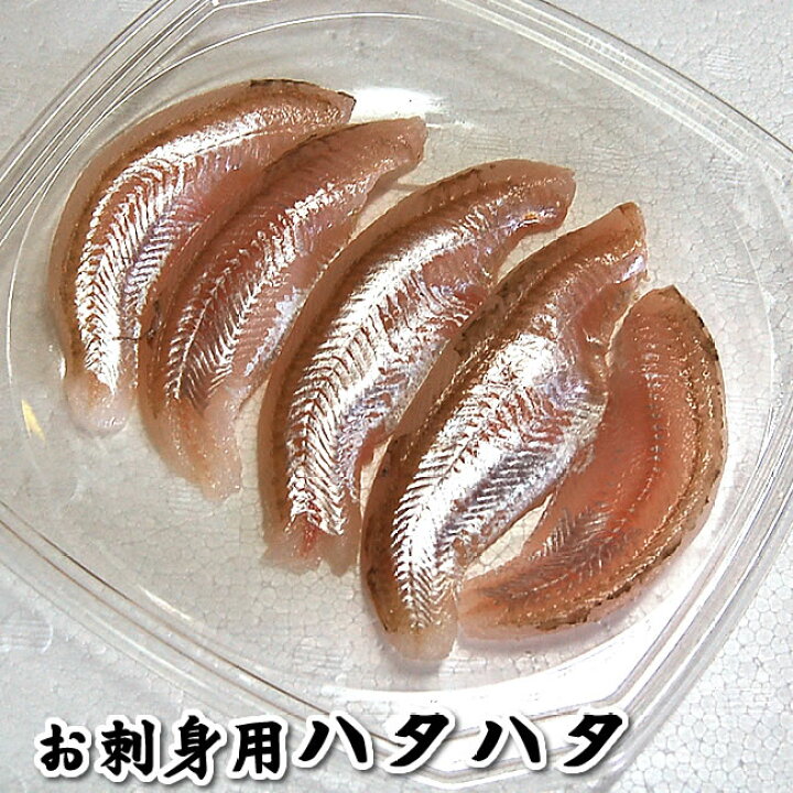楽天市場 お刺身用 生とろハタハタ スキンレスフィレ 冷凍 約60g入 山陰浜坂産 脂がのったハタハタをお刺身用に下処理しています はたはた 白ハタ 毎日漁港へ目利き一筋 かにの山米
