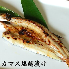 楽天市場 カマス その他水産物 魚介類 水産加工品 食品の通販 楽天市場 カマス その他水産物 魚介類 水産加工品 食品の通販