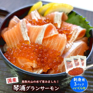 ƂƂՉYOT[EhgpiⓀj3pbNƂt Nx3D YL̂ǂȂ̃mA{BAAjTLXSzsvSĐHׂ܂Ihg 