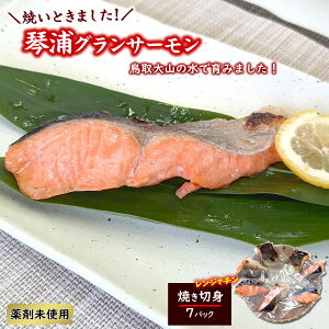 ƂƂՉYOT[ ĂƂ܂ ċ7 Ă ŝߖ󂠂    ` {B Y {B  TP Ă ăTP   CN  Ⓚ 