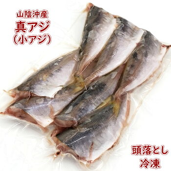 楽天市場 鮮魚 あ行 あ アジ類 マアジ 真鯵 毎日漁港へ目利き一筋 かにの山米