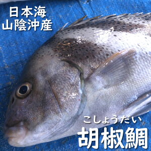 RVE_CiӞjyz@1@1kg@RA ɌlY {C 傤 g  Yn hg  H  ϕt ϋ g jG |A ߂ ӂ 