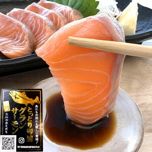 ƂƂՉYOT[EhgpiⓀj120-129g Nx3D YL̂ǂȂ̃mA{BAAjTLXSzsvSĐHׂ܂Ihg H 