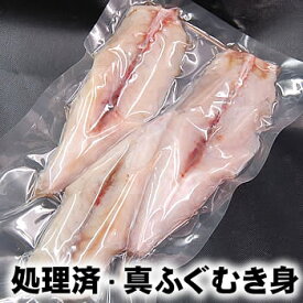 真フグむき身【冷凍】　約800〜900g（1-3尾入り）【浜坂産】　※大小あり　※真空パック　てっちり・ふぐ鍋・真ふぐ・真河豚・まふぐ・マフグ