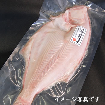 楽天市場 鮮魚 か行 か カレイ類 アカガレイ 赤ガレイ 冷凍 毎日漁港へ目利き一筋 かにの山米