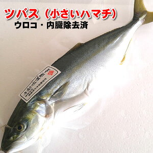 ハマチ 魚の人気商品 通販 価格比較 価格 Com