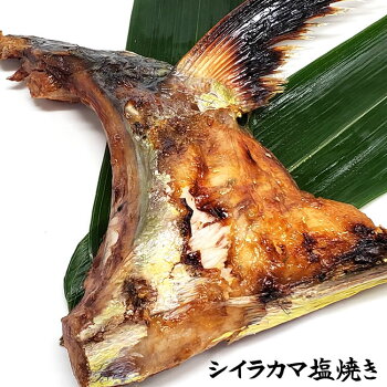 楽天市場 鮮魚 さ行 し シイラ 毎日漁港へ目利き一筋 かにの山米