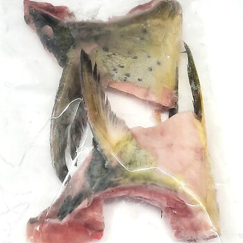 楽天市場 鮮魚 さ行 し シイラ 毎日漁港へ目利き一筋 かにの山米