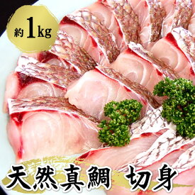 天然真鯛切身（冷凍）約1kg【山陰 兵庫県産】マダイ 鯛 切り身 セット 天然鯛 たい タイ 山陰 浜坂 魚 さかな 美味しい ごちそう 塩焼き ムニエル 冷凍切り身 魚の切り身 魚切身 美味しい魚 冷凍さかな 切身魚 冷凍鯛 鯛の切り身