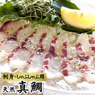 刺身・しゃぶしゃぶ用　天然真鯛（冷凍）110-130g（浜坂産）【高品質3D凍結】（たい、タイ）
