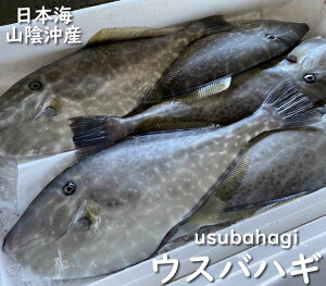 EXonMij1@1.0-1.3kgiȌdj@RA ɌY ͏ς݁î͕tĂ܂jJnM ͂ nQ nQ m} ͂ g  Yn hg   