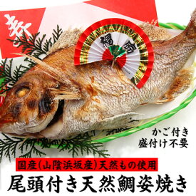 【送料無料】尾頭付き天然鯛（たい）の姿焼き　（小さめ1人前サイズ）　1匹　【浜坂産】　〜お祝いに天然焼鯛をお届け♪〜