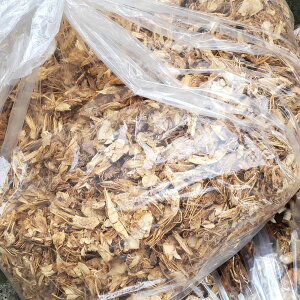 ijY@ъk@3kg@엿pƂā@yP@ۂ𑝂₵ɁiGrk@_Ɓ@엿jSDGs