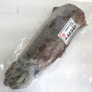 楽天市場 たこ いか類 アオリイカ 冷凍 毎日漁港へ目利き一筋 かにの山米