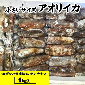 アオリイカ（冷凍）小　1kg詰（5-8杯前後入）サイズ不揃い【兵庫県浜坂産】（あおりいか・水いか・水イカ・もいか・モイカ・烏賊・高級）