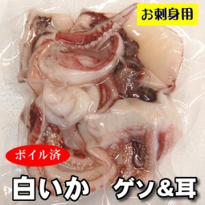 白 イカ 刺身の人気商品 通販 価格比較 価格 Com