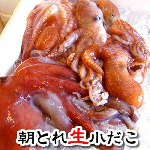 i{̗\EjƂ ij@1kgx@@2Zbg500g!!@ iA^RAAAނaA肦ji\ij