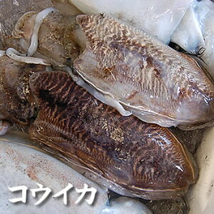 イカスミの通販 価格比較 価格 Com