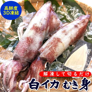 ނgiⓀj350gi3-10xjyɌlYz@@^pbN@iPTLCJECJEVCJj