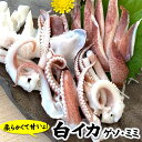 生白イカのゲソ＆耳（冷凍）3パック×約150g入（兵庫県浜坂産）バーベキューに！（白烏賊・白いか・烏賊・やりいか・ヤリイカ・ケンサキ・けんさき）