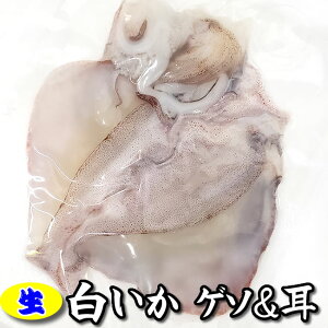 白 イカの人気商品 通販 価格比較 価格 Com