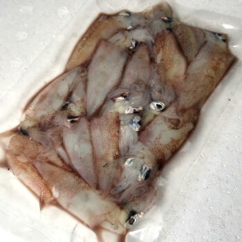 楽天市場 小イカ 冷凍 約250ｇ 浜坂産 今回は主に白イカです 小型のイカ 豆いか 釣 えさ エサ 餌 毎日漁港へ目利き一筋 かにの山米