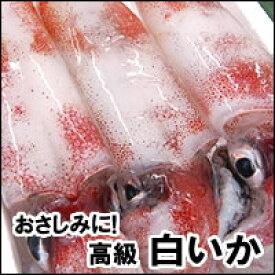 楽天市場 刺身 白イカの通販
