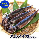 秋いか 肉厚 するめいか（冷凍）特大 1杯 約500g以上 兵庫県浜坂産 個包装 一夜干しにおすすめなサイズ 冷凍イカ 国産 シマメイカ 刺身 刺し身 しまめいか スルメイカ IQ バラ 凍結 烏賊 いか イカ 煮つけ 鮮度 新鮮 いか刺身 イカの刺身 刺身用イカ 冷凍スルメイカ