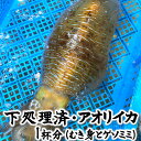 下処理済・アオリイカ（冷凍）大　1杯分　約900gのアオリイカを刺身用むき身とゲソ耳に下処理してあります。　（あおりいか・水いか・イカ）