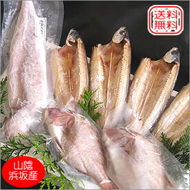 （送料無料）日本海漁火セット（冷凍）ギフトに（アゴ,干物,白いか,鯛）敬老の日ギフトに、お中元、バーベキューに