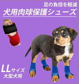 楽天市場 犬 肉球 保護の通販 楽天市場 犬 肉球 保護の通販