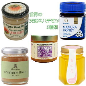 ݂͂ 5_Zbg Ê݂͂ytAnj[255gE}kJnj[400{250gEzCgnj[RC85g ݂̖؃nj[300g t̉300gz5ނ100%I[KjbNȓAyf̂܂܂