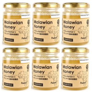 I yuJ^^ 125g×6z}EC̃Uj}XѕیM݂͂