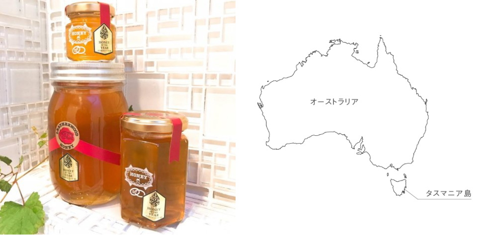 出産祝い 生はちみつ 非加熱 レザーウッドハニー600g1本 レザーウッドのハチミツは独特のエレガントな香りと複雑な味わいが特徴です Leather  Wood Honey