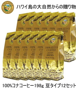 RiR[q[ 󒍔i 1J[i\y100CRiR[q[198g12܃Zbgz.^Cv(pbP[WfUCύX̏ꍇ܂j