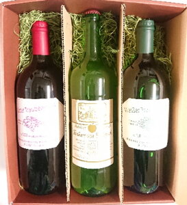 W[X100Y  ЂƖႤy100%W[X1000ml3ށzr^~ʂ̂񂲂6{߂܂IpyԂԂǂW[XzCT[gExXgy