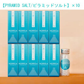 ソルト【PYRAMID SALT/ピラミッドソルト】TEJAKULA バリ島のピラミッド塩携帯瓶7g×10個 大切な方へのプレゼントに最適