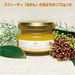 I uXEB[eBi݂j݂̐͂70g×6vCXGY̑傫Ȃ݂AXEB[eB̉Ԃ̖̂ꂽȂASM݂̐͂łB