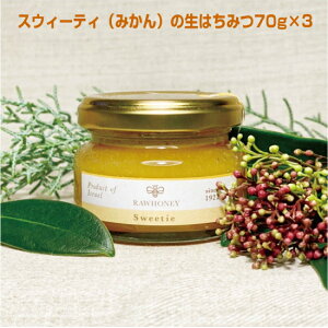 IyXEB[eBi݂j݂̐͂70g×3zCXGY̑傫Ȃ݂AXEB[eB̉Ԃ̖̂ꂽȂASM݂̐͂łB