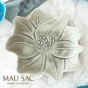 MAUSAC VF{[e [ M O[W 25cm H  M v[g ԕ j j v[g {