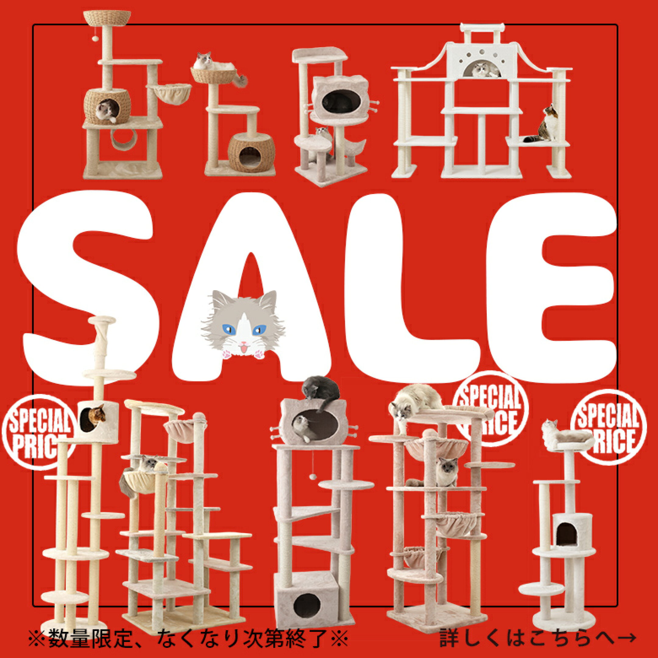 スペシャルプライスタワー