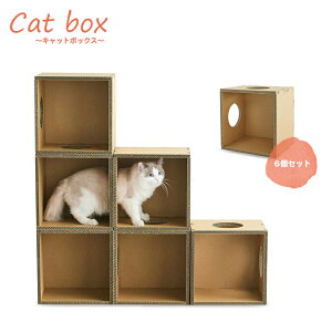 yYi{[^[zLbg{bNX@Yi{[ CeA@Vv@@{