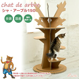 yYi{[V[YzVEA[u150 L̖ Yi{[ SS ̃Lbg^[ Lbgc[@IWi