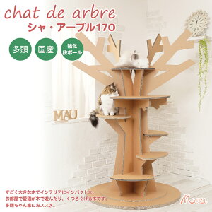 yYi{[V[YzVEA[u170 傫 L̖ Yi{[ SS ̃Lbg^[ Lbgc[ CeA@IWi