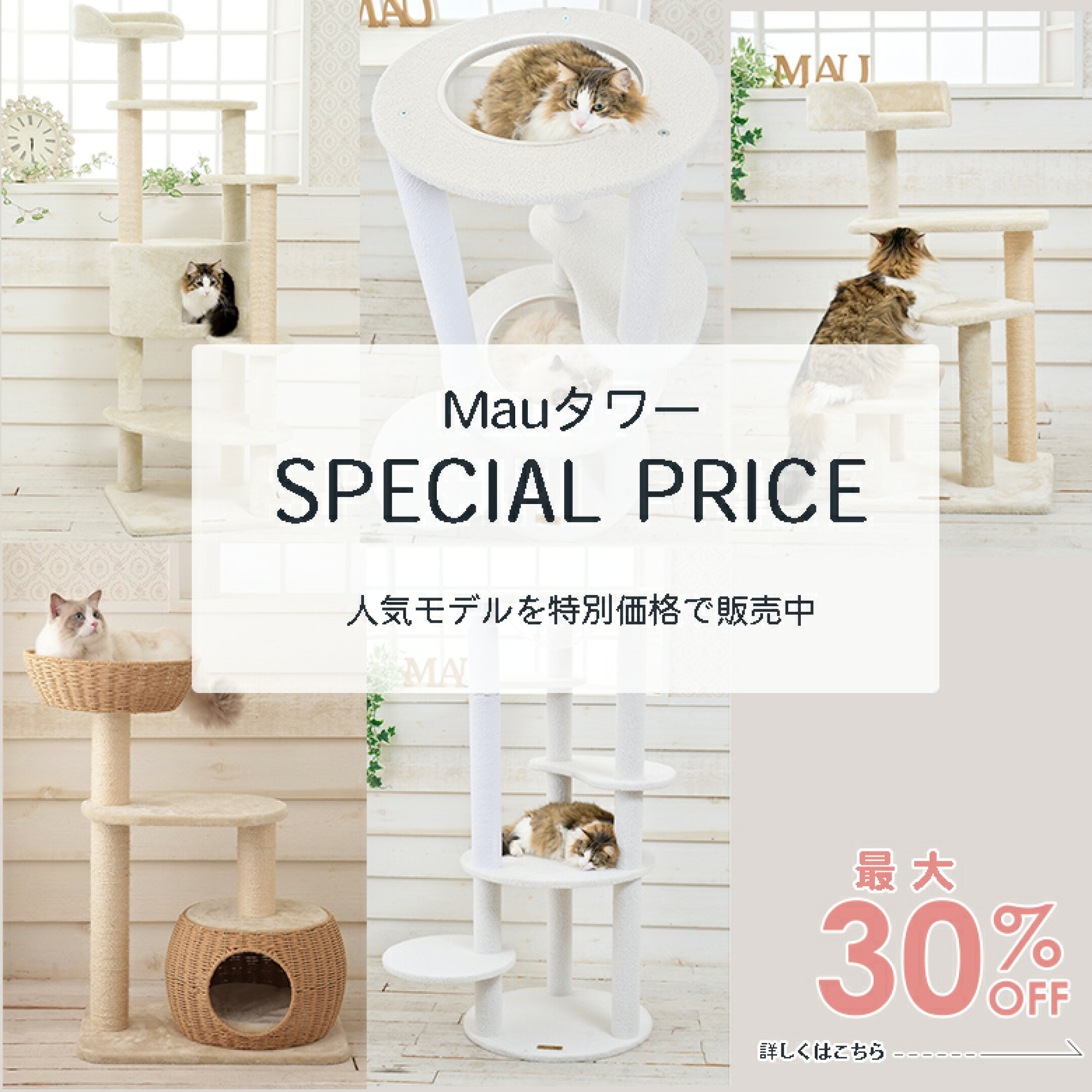 スペシャルプライスタワー